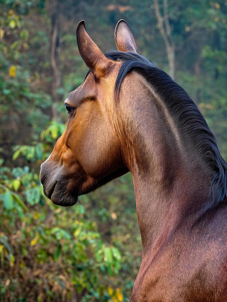 Majestic Bay Horse Profile, Lush Foliage Background. A stunning close up of a brown horse's head and neck, showcasing its elegant features against a backdrop of vibrant green vegetation. photo