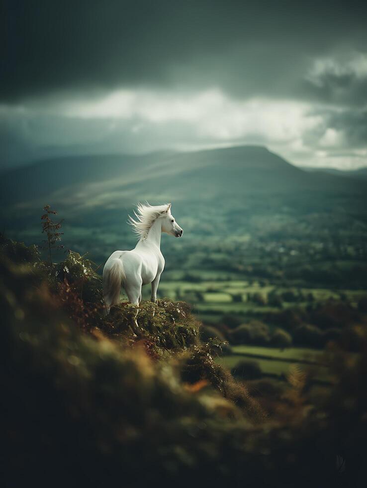 Majestic White Horse on a Mountaintop, Dramatic Landscape. photo