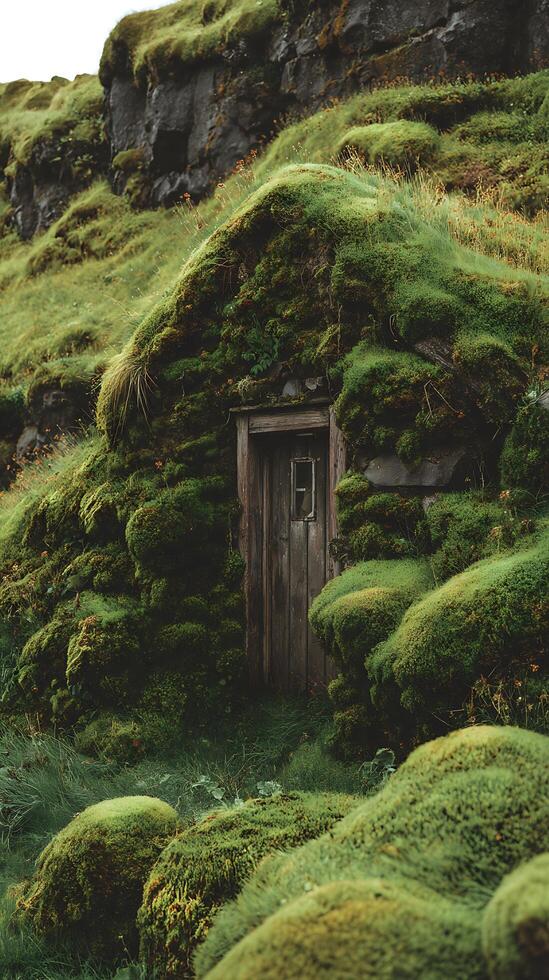 Moss Covered Hut with Wooden Door in a Lush Green Landscape. photo