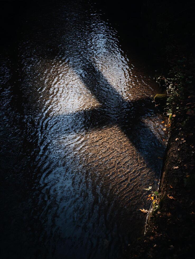 Shadow of a Tree Projected on a Stream's Surface. A Dramatic Nature Photograph. photo