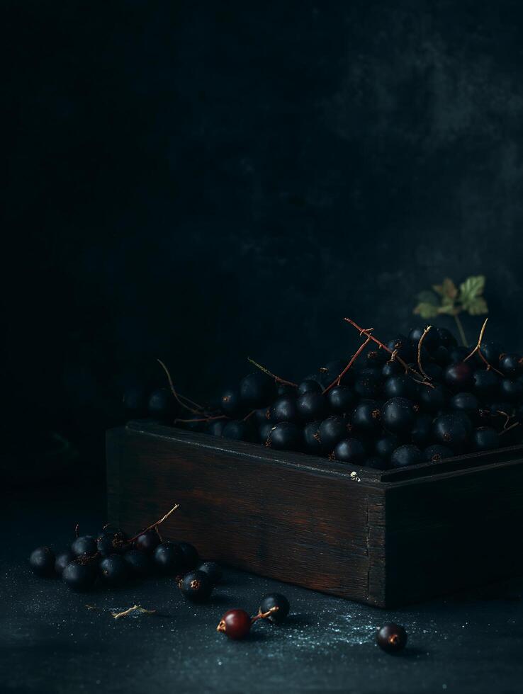 Dark Moody Still Life of Black Currants in Rustic Wooden Box. photo