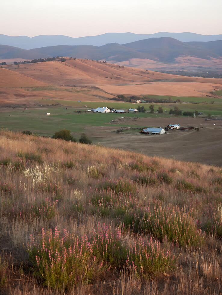 Serene Rural Landscape Farmhouses nestled in a tranquil valley at sunset. photo