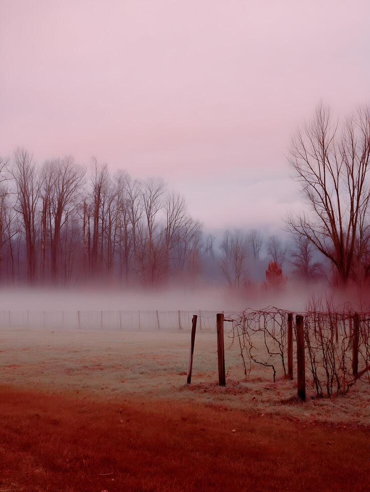 Serene Vineyard Landscape at Dawn, Misty Field with Bare Vines. photo
