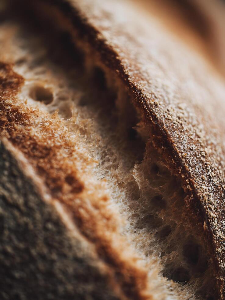 Close Up of Artisan Bread Texture, Showing Airy Interior and Crust Detail. photo