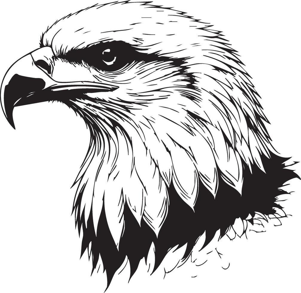 An eagle head with a black and white outline vector