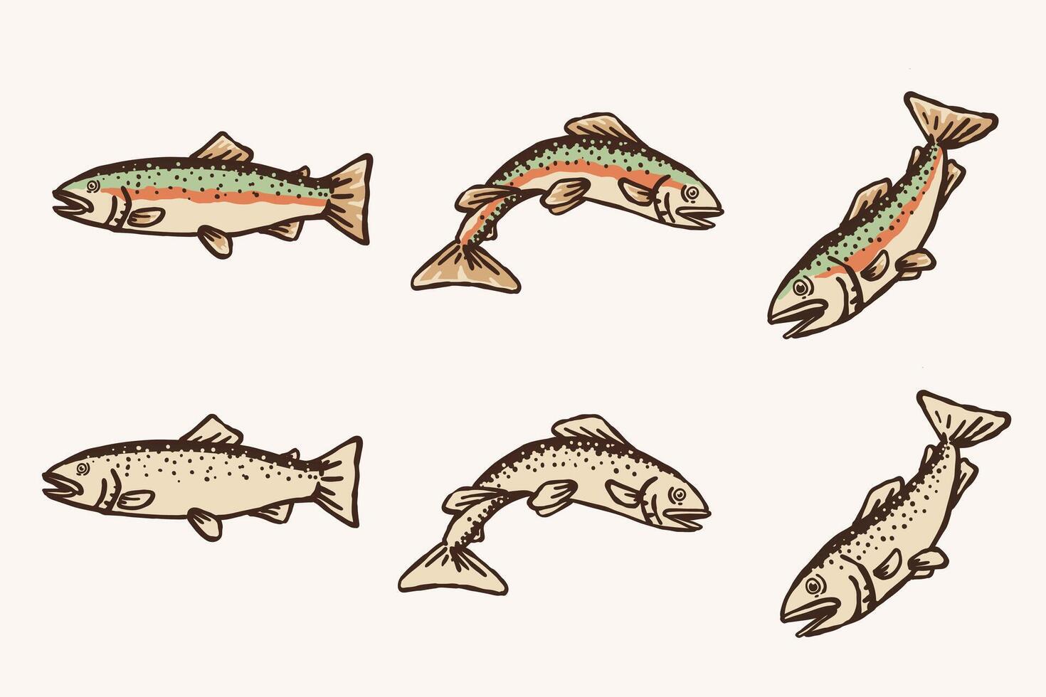 Hand Drawn Rainbow Trout Fish Collection Colored and Monochrome Illustrations vector