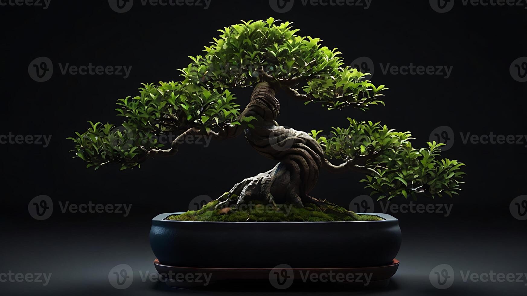 Elegant Bonsai Tree with Lush Green Leaves on Dark Background Depicting Serenity photo