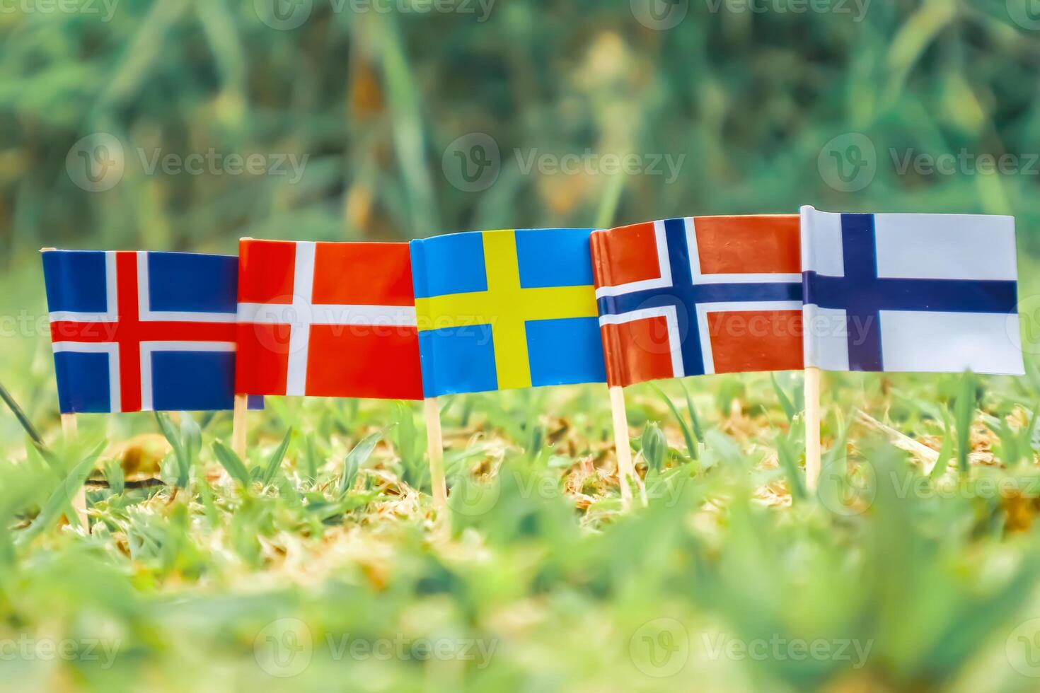 Flags of Nordic countries Iceland, Denmark, Sweden, Norway, Finland on green grass under warm sunlight. Eco friendly theme, earth day and global environmental care. photo