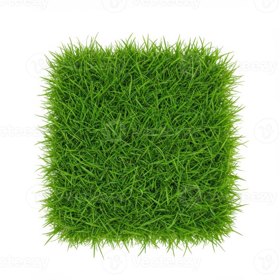 A vibrant square patch of lush green grass isolated on a pure white background photo