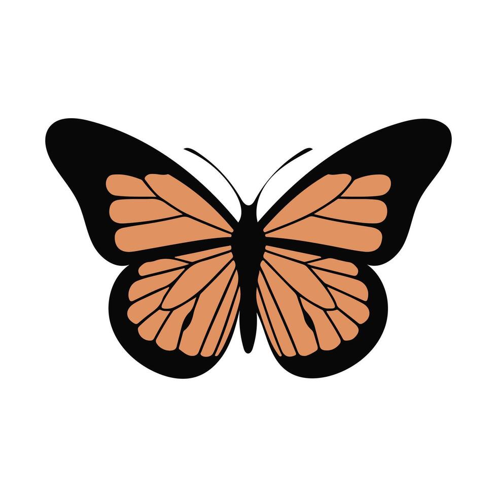 Colorful butterfly design illustration vector