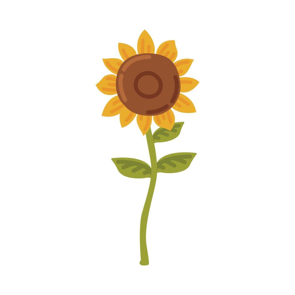 Sunflower, Blooming Flower, Cultivated Crop Cartoon Style Illustration vector