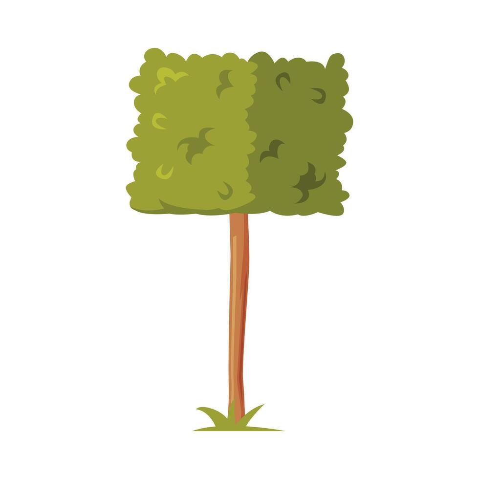 Green Shaped Bush with Lush Foliage as Park Zone Element Illustration vector