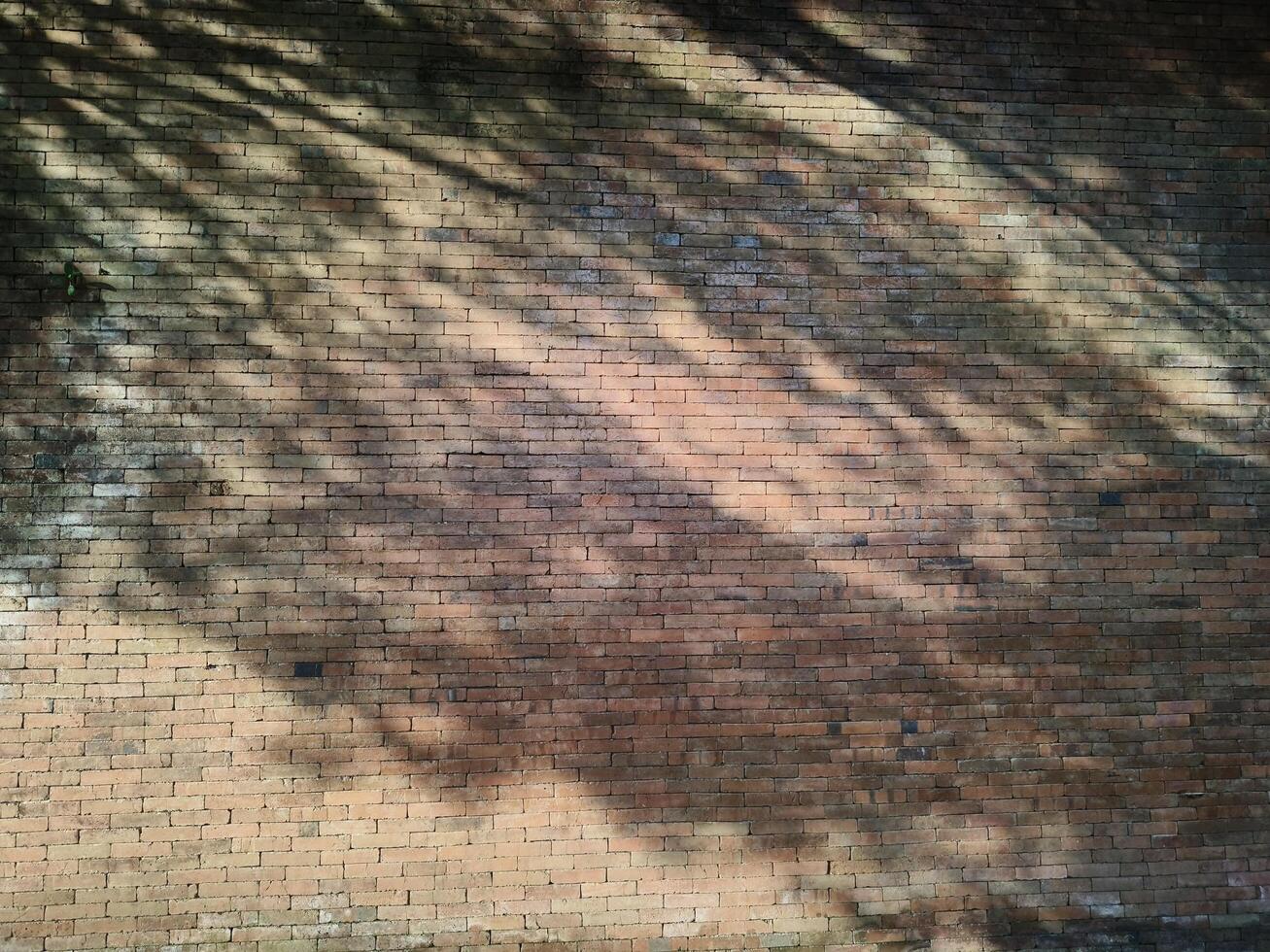 Brick of the wall, The bricks are arranged neatly and glued with cement to form a wall photo