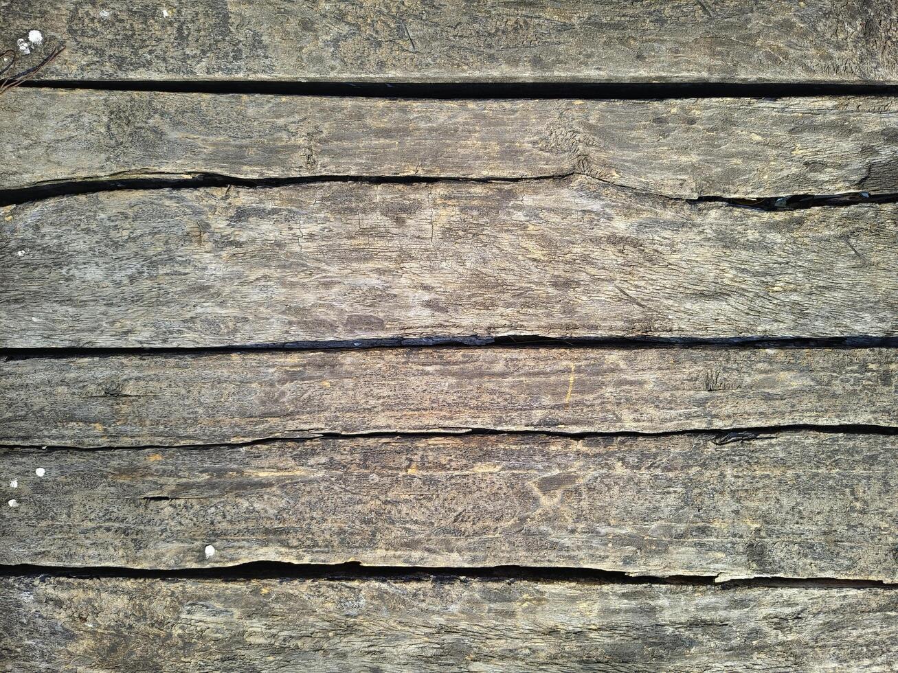 close up of old wood texture background photo