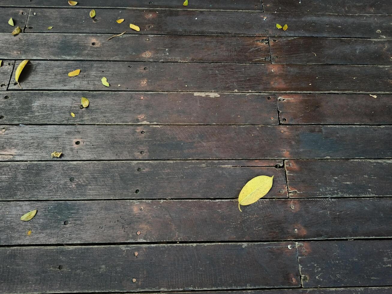 leaves fall on wooden floor,old Wooden textured surface with natural leaves background photo