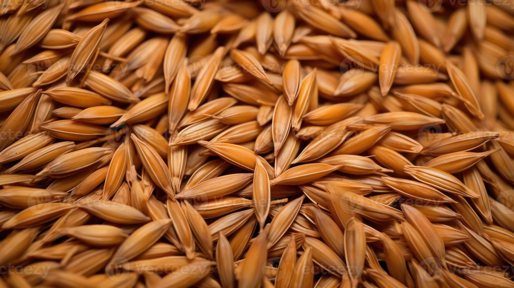 Close-up of rice grains, showcasing their texture and color. photo