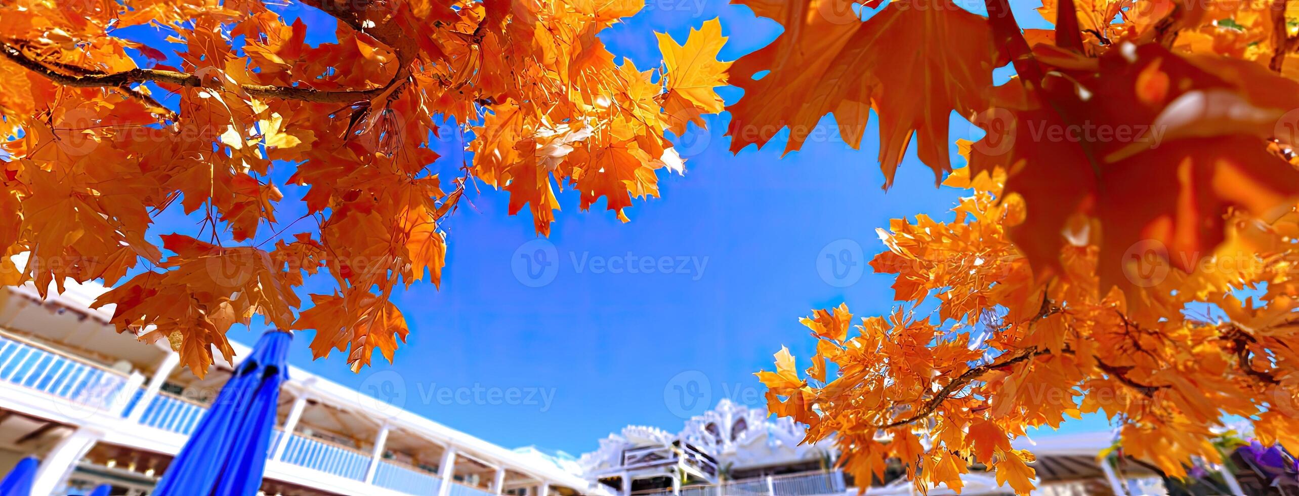 A view of a building with a blue sky photo