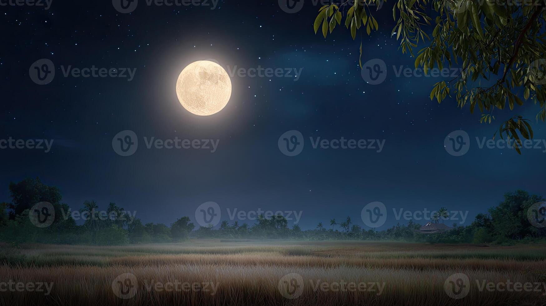 A full moon is shining over a field at night photo