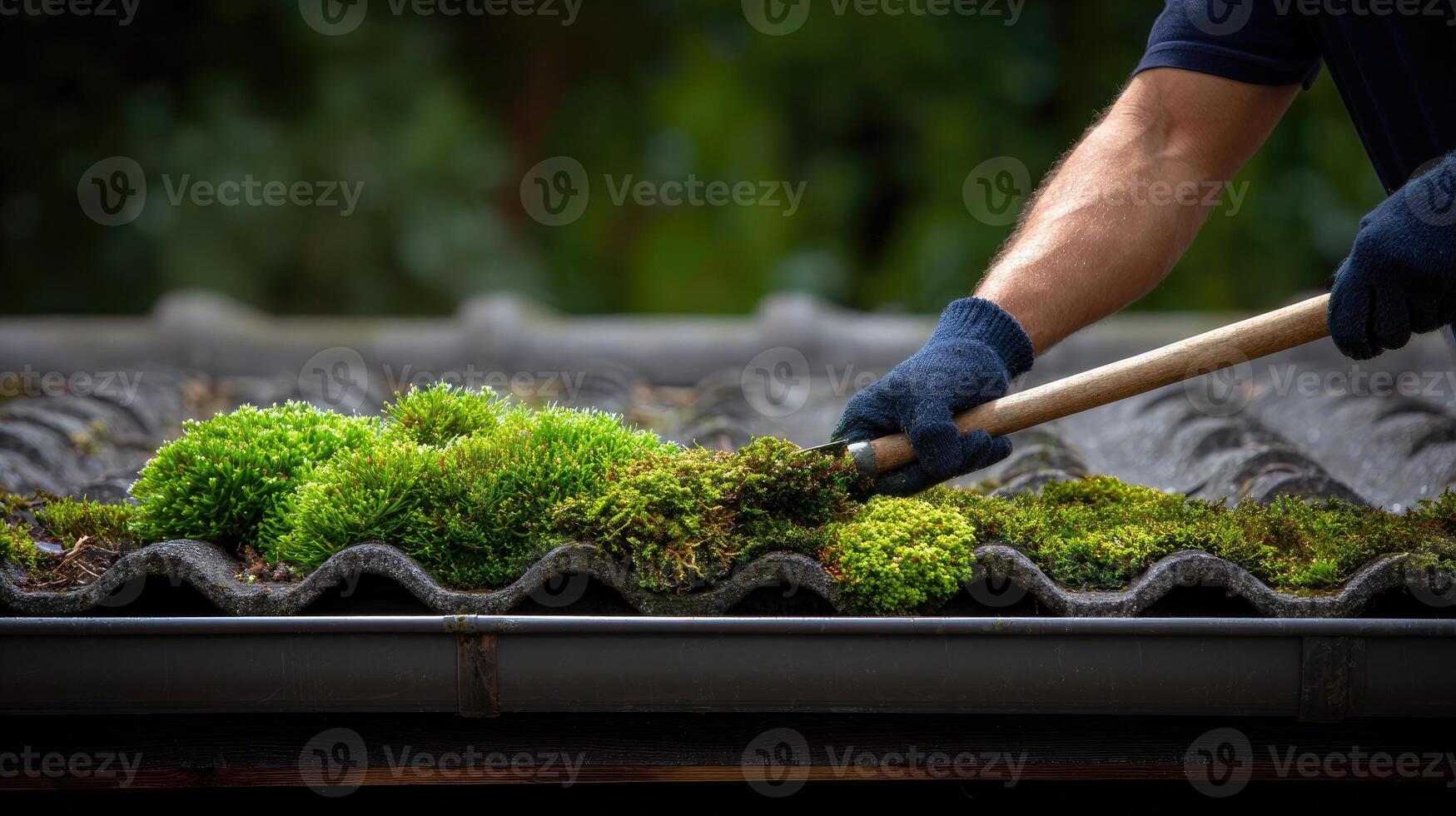 A man is cleaning moss off of a roof photo