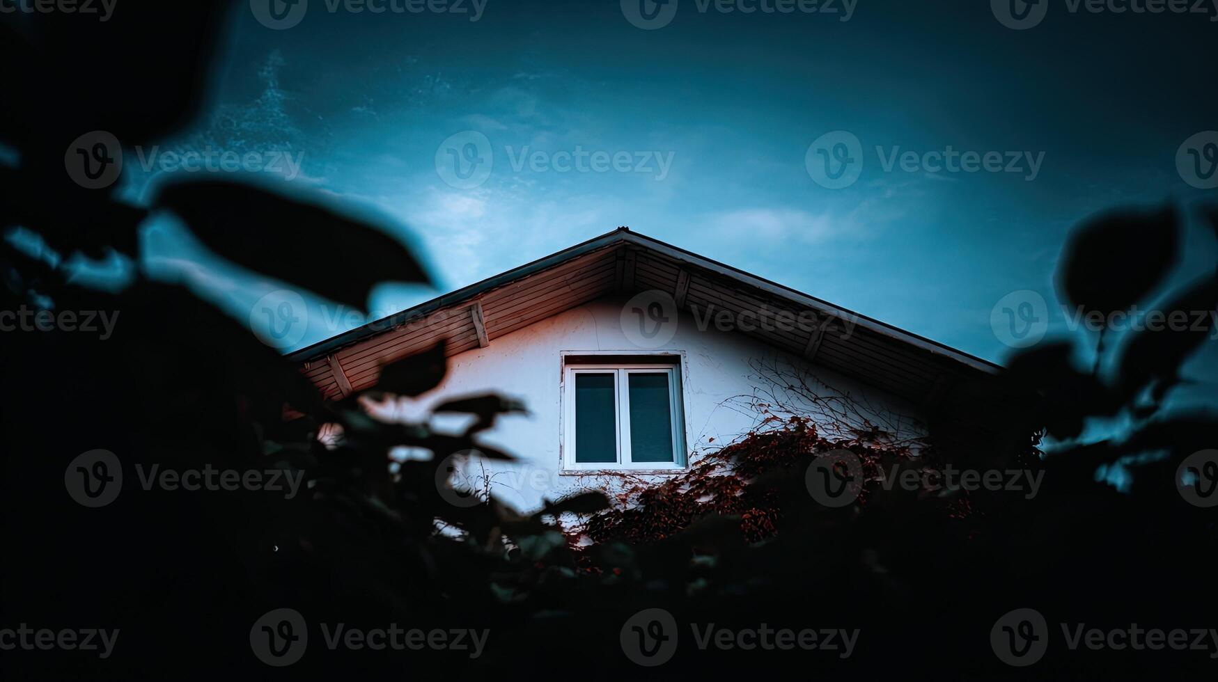 A house with a window in the dark photo