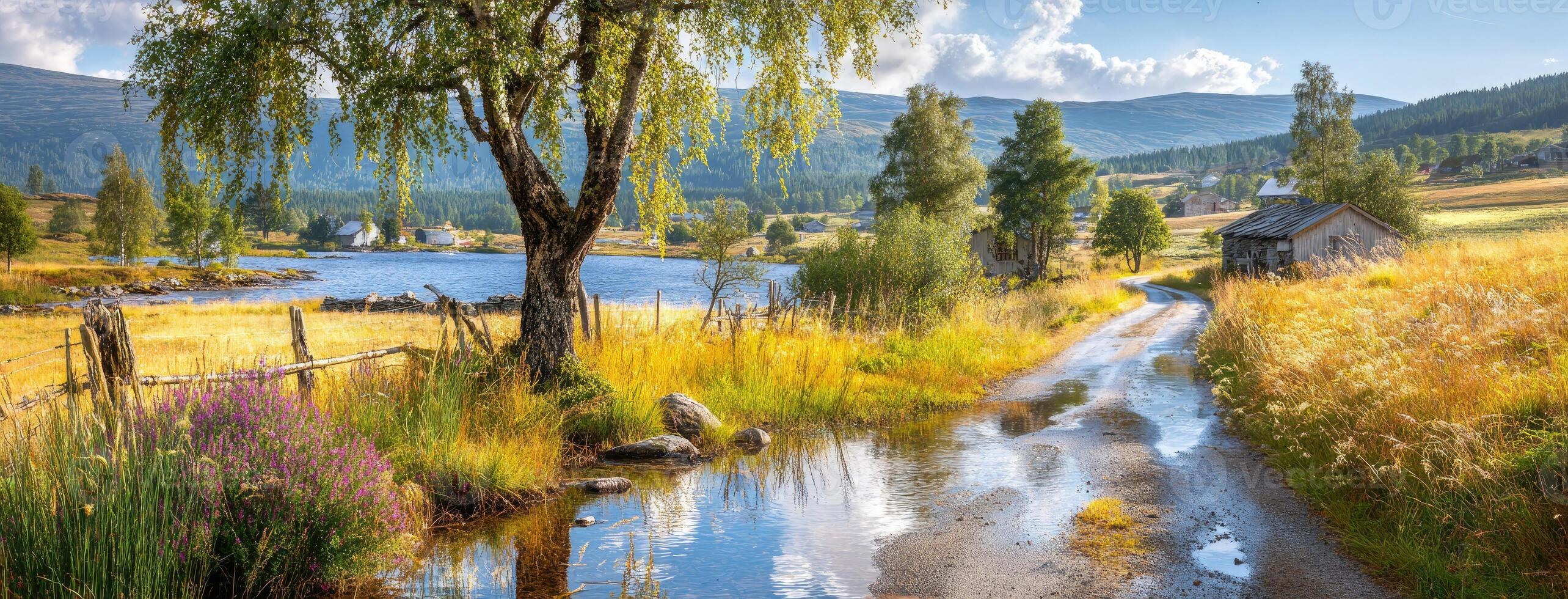 A small stream runs through a field with a house and trees photo