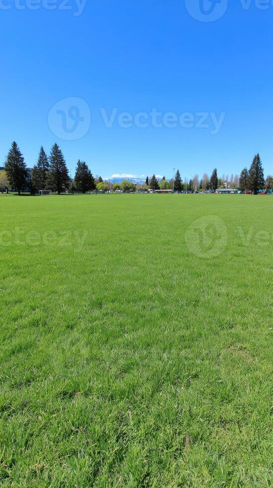 A grassy field with a large open area photo