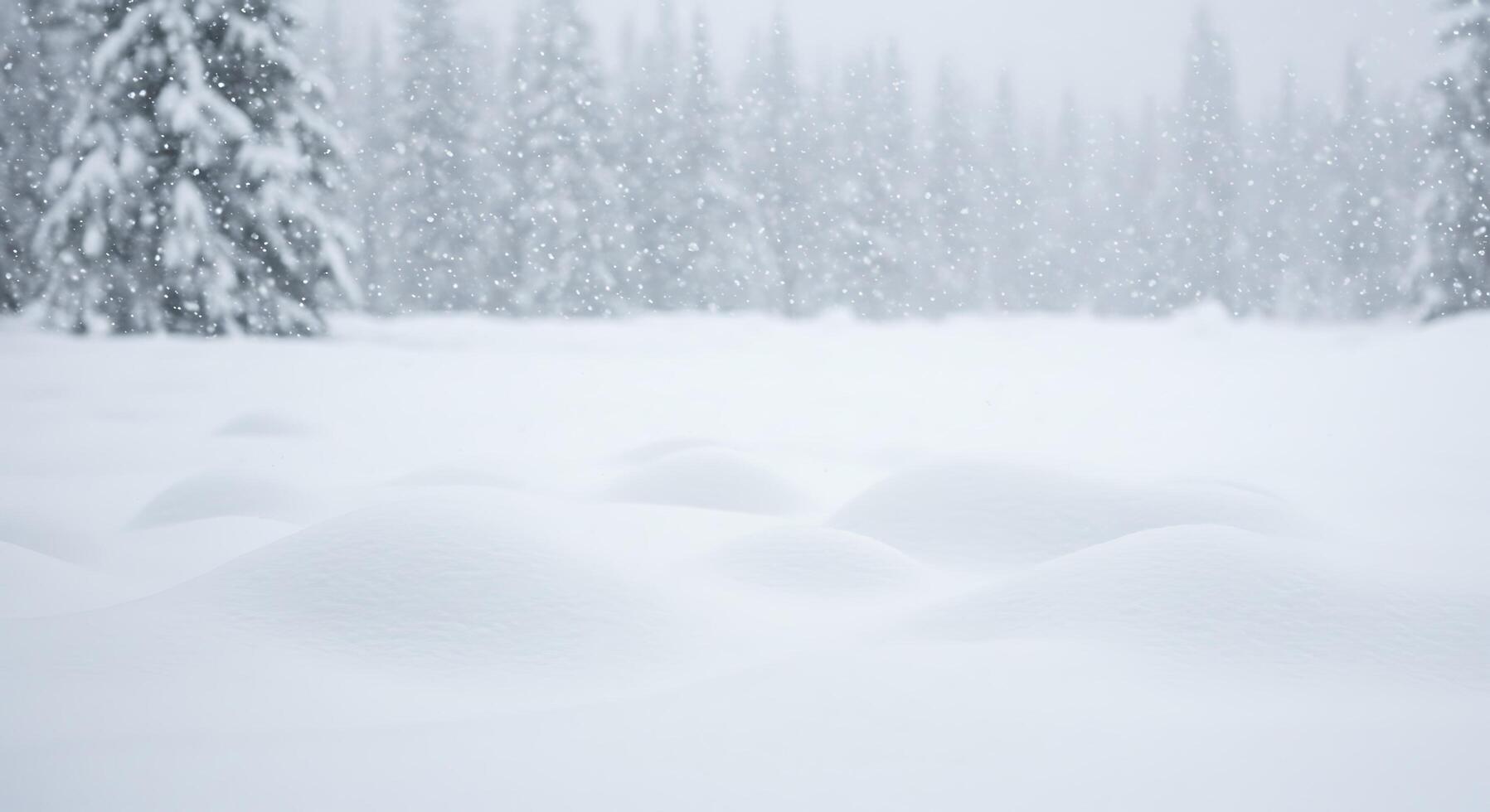 A snow covered field with trees and snow photo