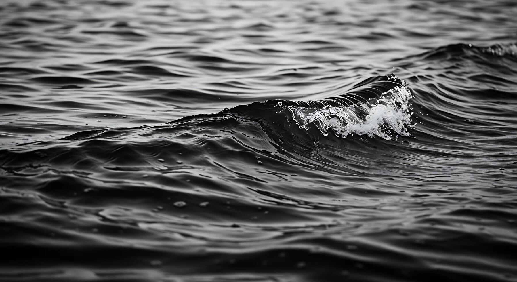 Black and white photo of waves in the ocean