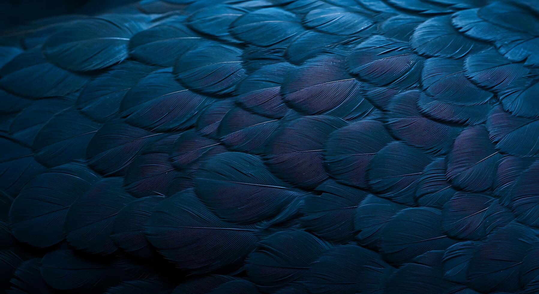A close up of a blue bird's feathers photo