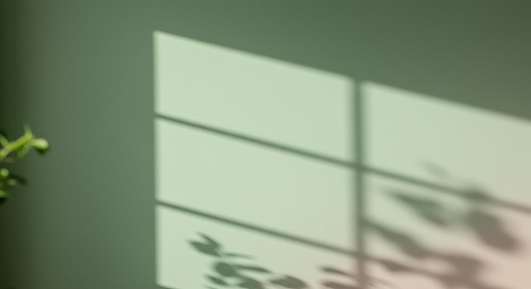 A plant is sitting in front of a window photo