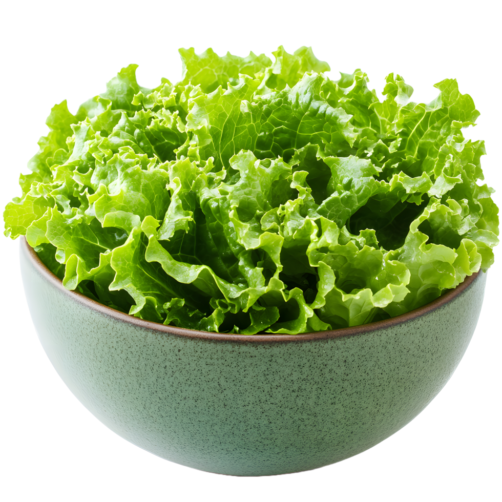 Fresh green lettuce leaves in a ceramic bowl isolated on transparent background png