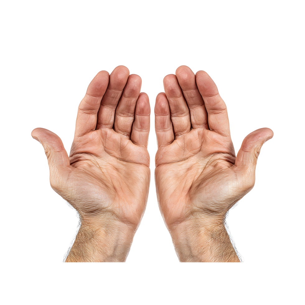 Two open human hands reaching upwards palms facing the viewer isolated on transparent background png