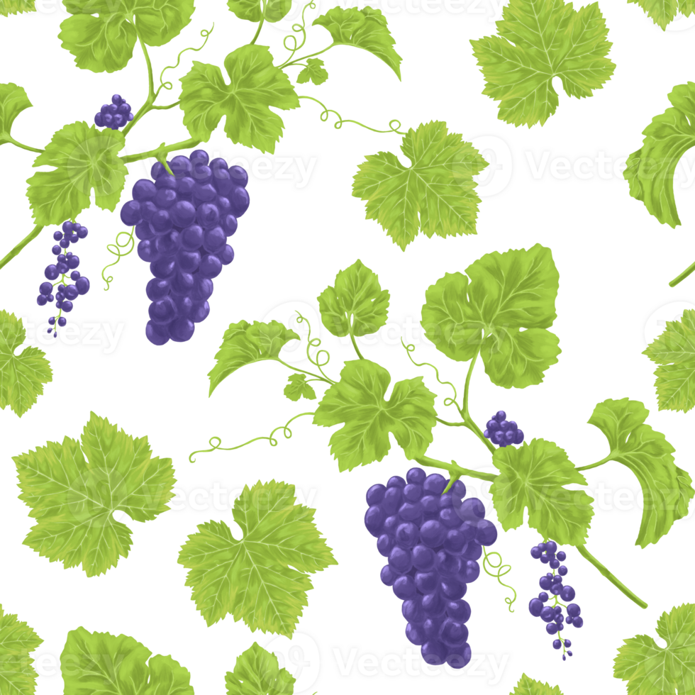 Grapes and Vines botanical pattern png