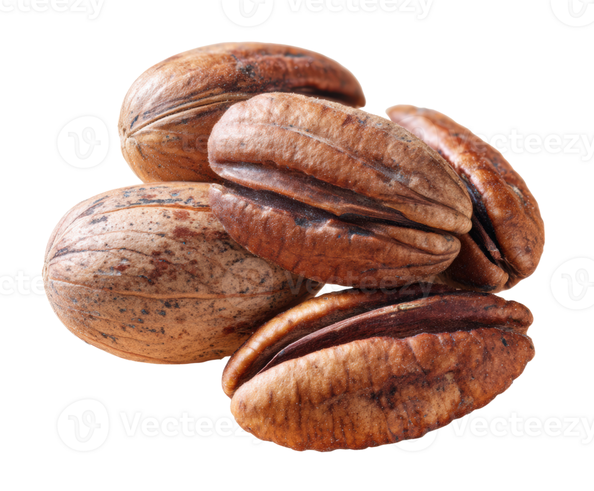 Healthy pecan nuts for culinary use in recipes and desserts png