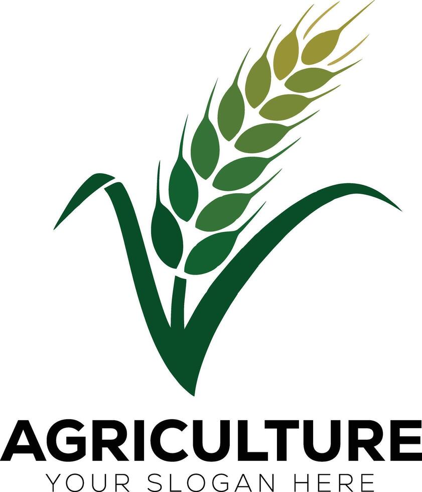 green wheat logo for company vector