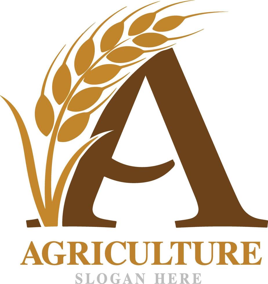 A logo wheat brown color logo vector