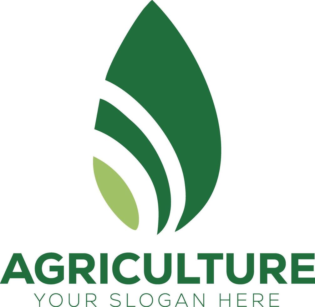 leaf logo idea vector