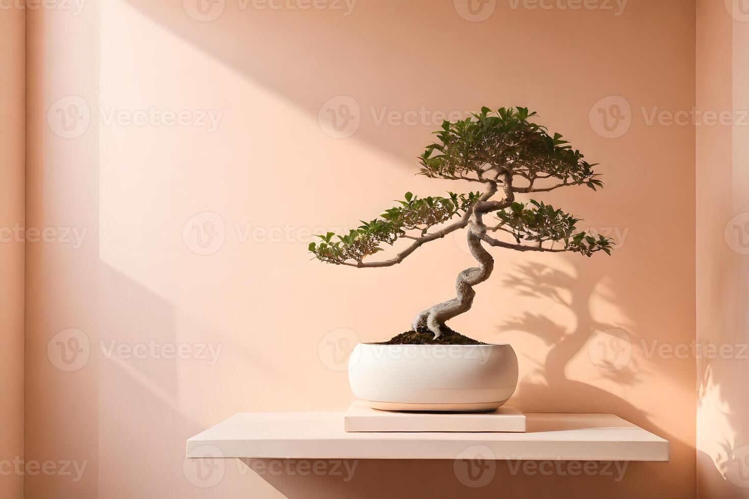 Serene Bonsai Tree in Soft Sunlight on Minimalist Shelf photo