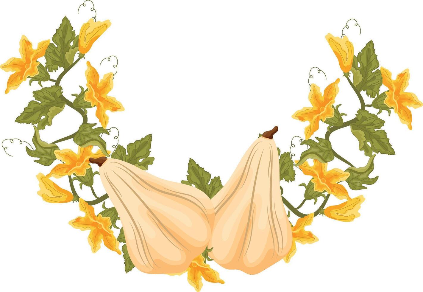 round decorative autumn frame in the shape of a wreath with green leaves, yellow pumpkin flowers and two long white pumpkins, for decorating autumn cards, food designs or other designs vector