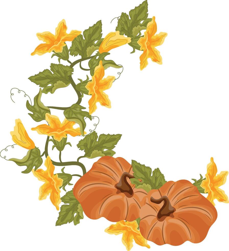 semicircular decorative autumn frame in the shape of a wreath with green leaves, yellow pumpkin flowers and two round orange pumpkins with brown tails, for decorating autumn cards, food designs vector