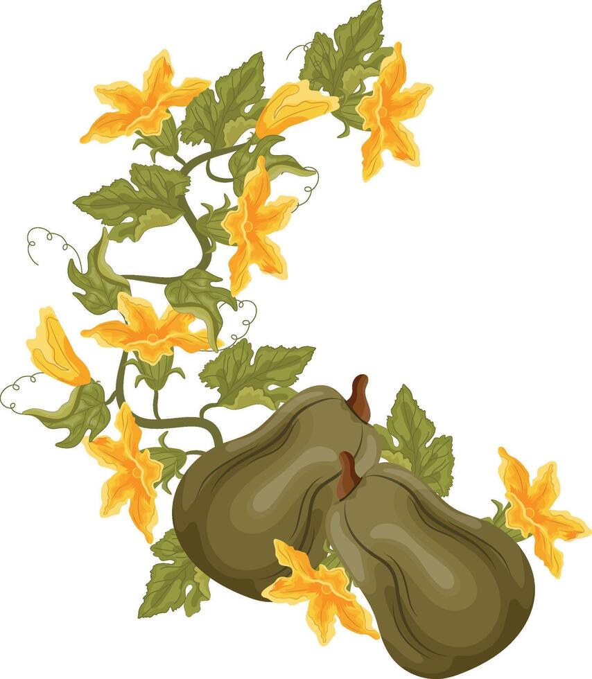 semicircular decorative autumn frame in the shape of a wreath with green leaves, yellow pumpkin flowers and two long green pumpkins, for decorating autumn cards, food designs or other designs vector
