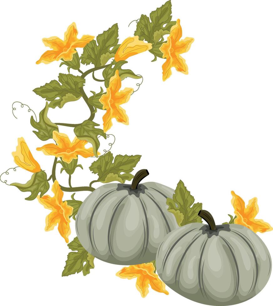 semicircular decorative autumn frame in the shape of a wreath with green leaves, yellow pumpkin flowers and two round green pumpkins, for decorating autumn cards, food designs or other designs vector