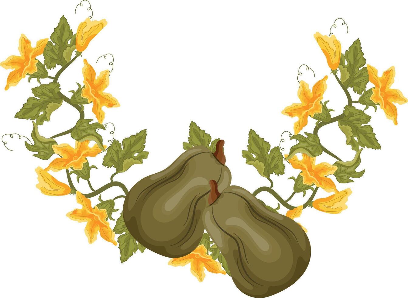 round decorative autumn frame in the shape of a wreath with green leaves, yellow pumpkin flowers and two long green pumpkins, for decorating autumn cards, food designs or other designs vector