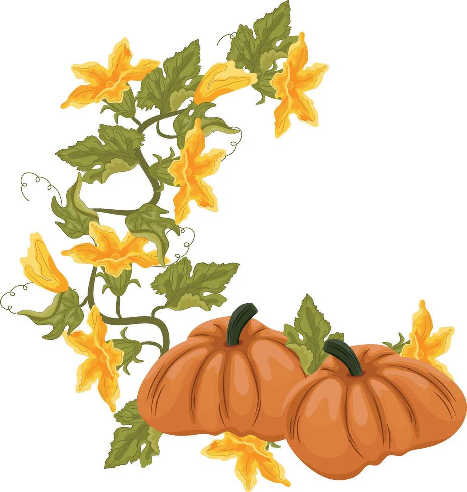 semicircular decorative autumn frame in the shape of a wreath with green leaves, yellow pumpkin flowers and two round orange pumpkins, for decorating autumn cards, food designs or other designs vector