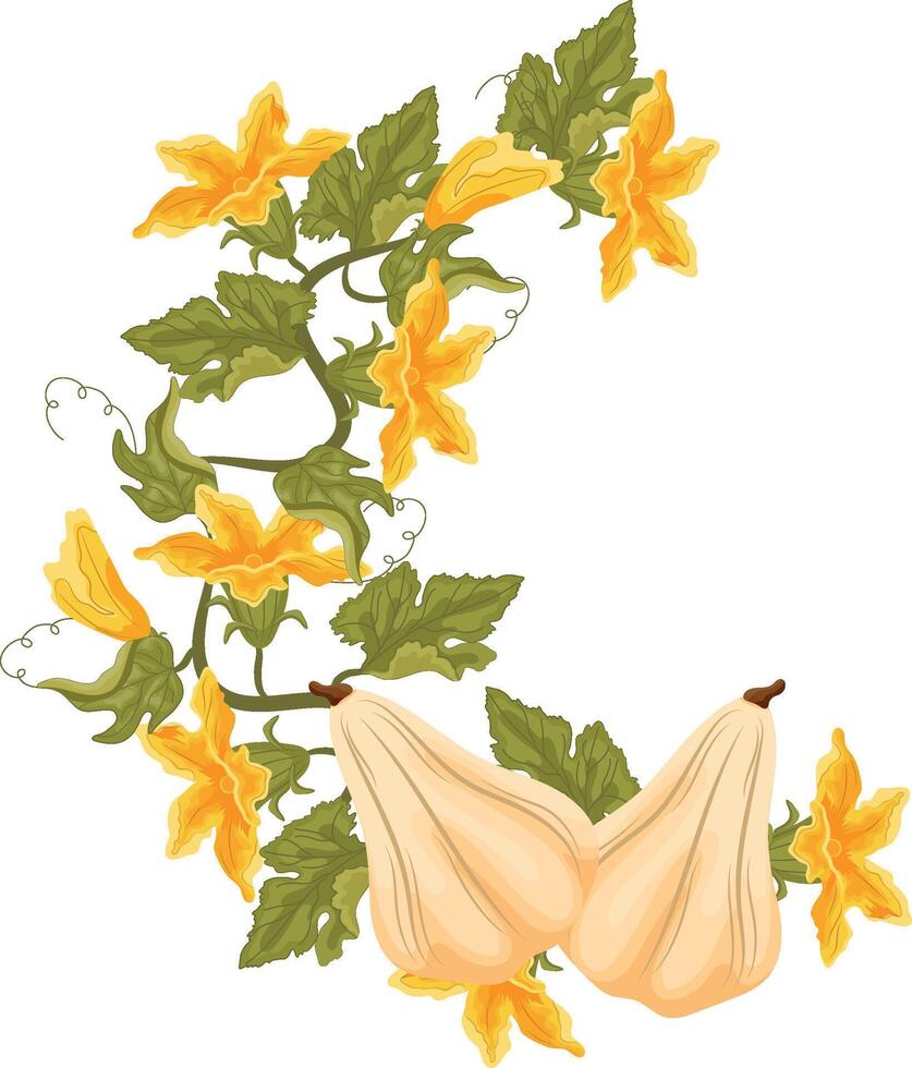 semicircular decorative autumn frame in the shape of a wreath with green leaves, yellow pumpkin flowers and two long white pumpkins, for decorating autumn cards, food designs or other designs vector