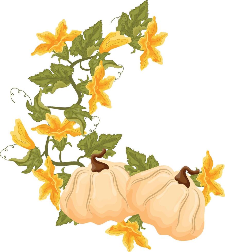 semicircular decorative autumn frame in the shape of a wreath with green leaves, yellow pumpkin flowers and two round white pumpkins, for decorating autumn cards, food designs or other designs vector