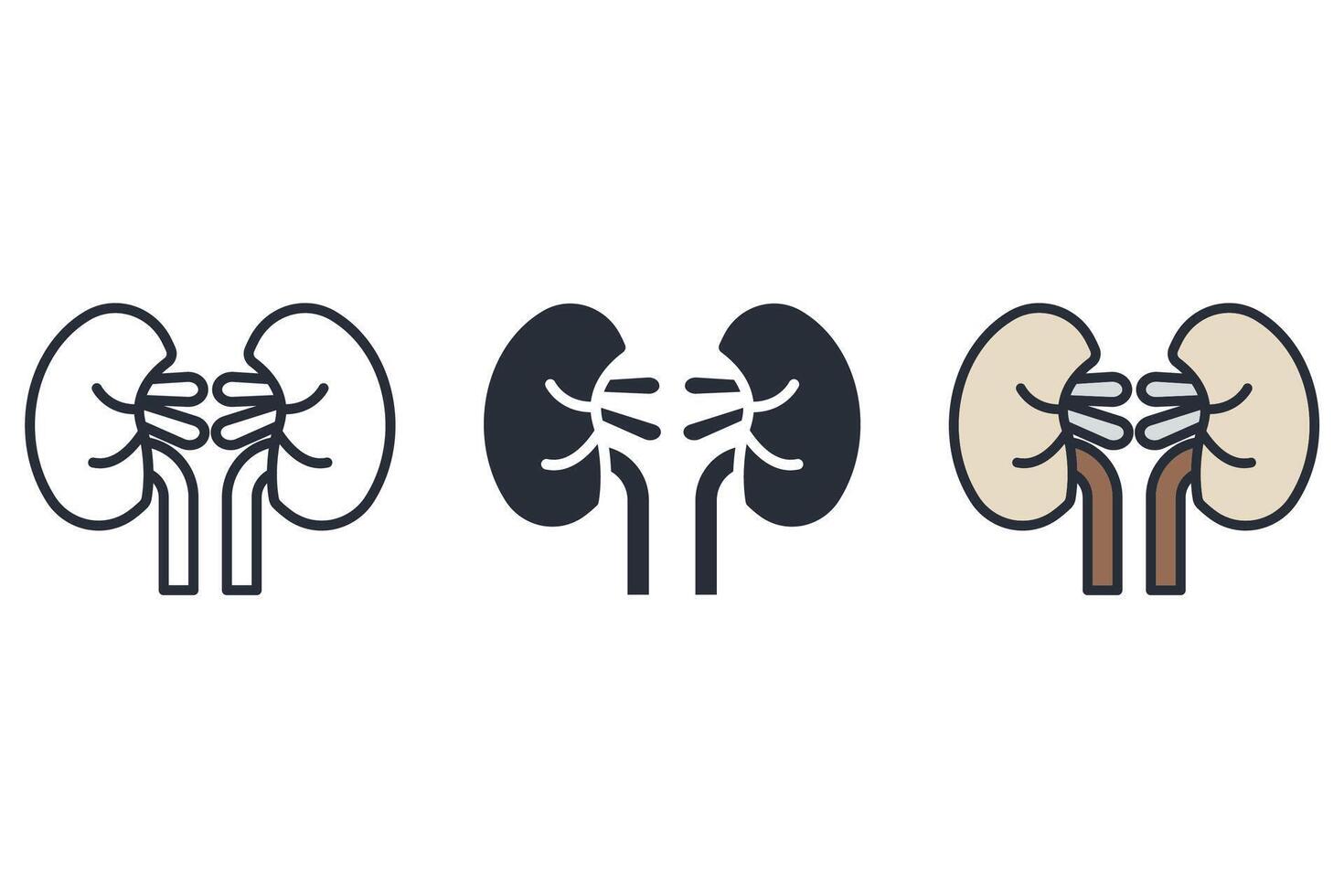 kidney Thin set color icons vector