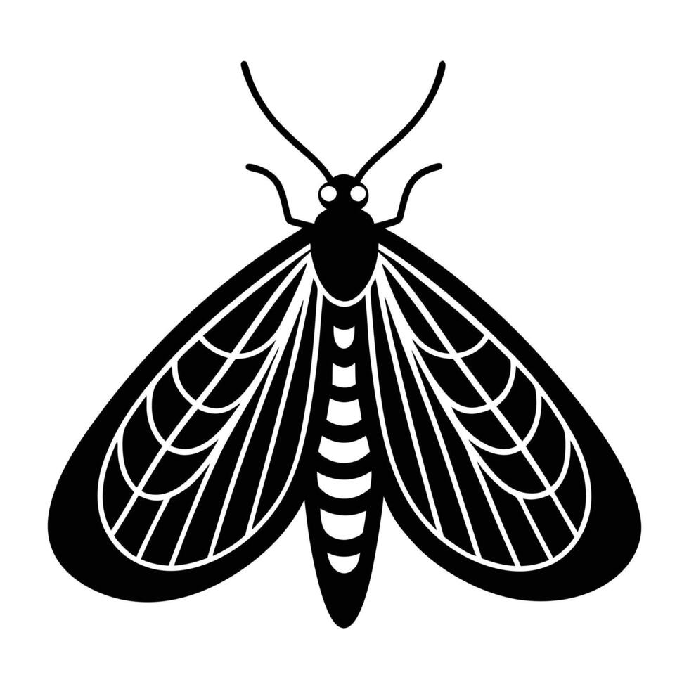 a black and white moth on a white background vector