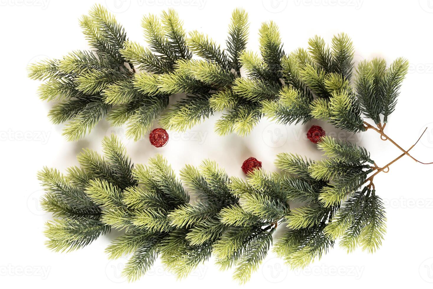 fir tree branch for decorating of bouquets and home photo