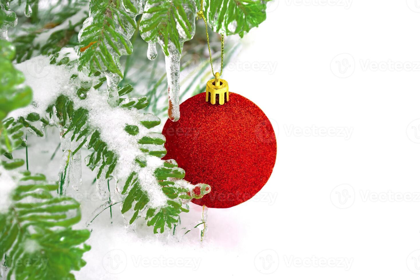 Red shiny Christmas toy ball hanging on fir branch in the snow. Celebration photo